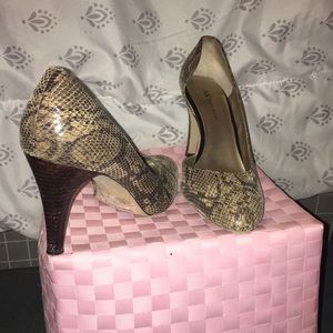 Snake skin shoes